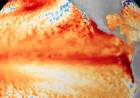 EL SUPER NIÑO NO IMPACTARÍA DE GRAN MANERA AL SUR CORDOBÉS