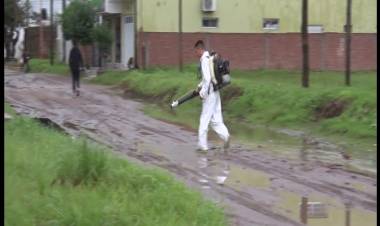 CASO DE DENGUE EN HUIDOBRO