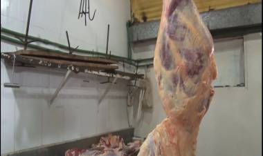 DONACIÓN DE CARNE PARA PERSONAS NECESITADAS