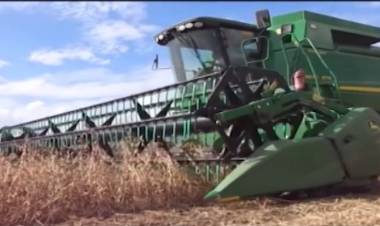 PANORAMA AGRÍCOLA DE LA ZONA