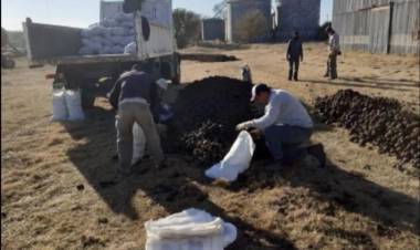 LLEGARON 7 MIL KILOS DE PAPAS PARA REPARTIR EN LA COMUNIDAD