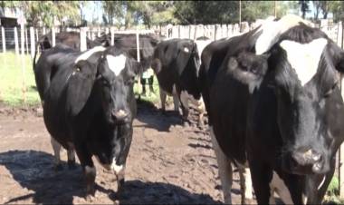 LA FERIA VUELVE A SU MODALIDAD PRESENCIAL