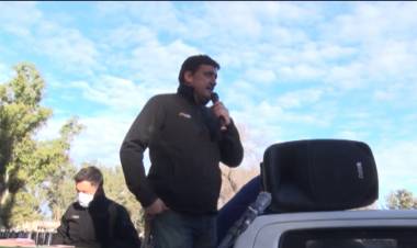 VOLVIERON LOS REMATES FERIA DE LA FIRMA ALFREDO S MONDINO