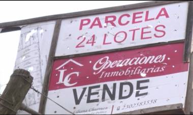 NUEVA LEY DE ALQUILERES Y DISPONIBILIDAD DE VENTAS Y ALQUILERES