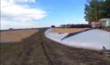 LA REALIDAD DE LAS ASEGURADORAS Y SUS ALCANCES 