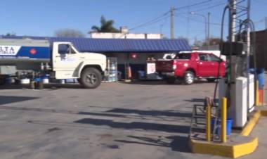 LA COSECHA DE MAÍZ REACTIVA DIFERENTES ACTIVIDADES