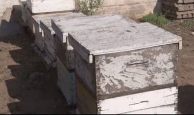 LAS COMPLICACIONES QUE GENERA SAN LUIS PARA PODER SEGUIR TRABAJANDO