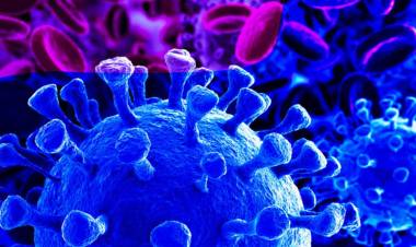 COVID 19: SIGNIFICATIVO AUMENTO DE CASOS ACTIVOS