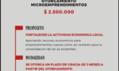 PROGRAMA ESTIMULO PARA EMPRENDEDORES LOCALES