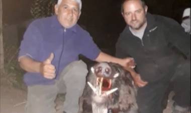 SAN LUIS: QUEDÓ HABILITADA LA CAZA DEPORTIVA DEL JABALÍ