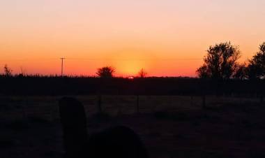 LA COMUNIDAD RANQUEL DE DEL CAMPILLO CELEBRÓ EL AÑO NUEVO