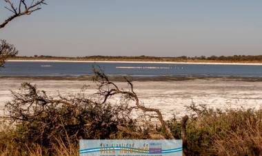 AVANZA EL PROYECTO DE RECUPERACIÓN DE LA LAGUNA DEL 20