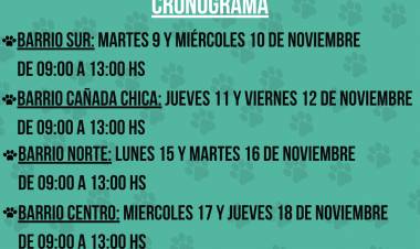 DETALLES DE LA CAMPAÑA DE VACUNACIÓN ANTIRRÁBICA 