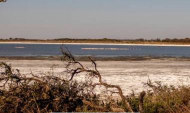 EL PREDIO DE LA LAGUNA DEL 20 QUEDARÁ LISTO PARA EL 1° DE ENERO