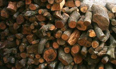 LEÑA, TAN NECESARIA Y TAN DIFÍCIL DE CONSEGUIR