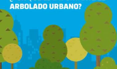 CONTINUIDAD DE LA REPOSICIÓN DEL ARBOLADO PÚBLICO