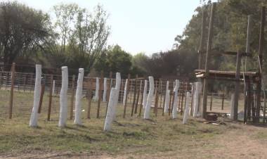 TODO LISTO PARA LA PRIMER FIESTA GAUCHA DEL CENTRO TRADICIONALISTA CAÑADA VERDE