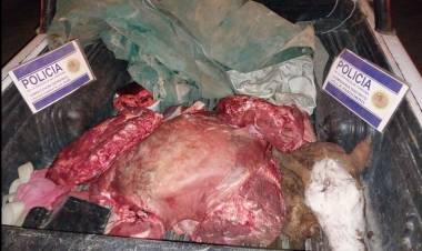 SECUESTRO Y ALLANAMIENTOS POR TERNERO FAENADO