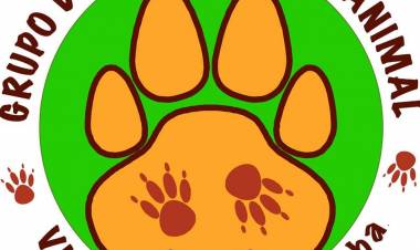 TRAS LOS DICHOS EN EL HCD EL GRUPO DE PROTECCIÓN ANIMAL RESPONDE