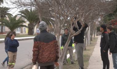 PRACTICA DEL CURSO DE PODA 