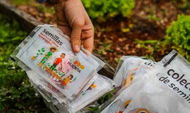 YA SE ENTREGAN LAS SEMILLAS PARA ESTA TEMPORADA DEL PROHUERTA