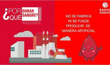 BANCO DE SANGRE: "ES LO MEJOR QUE PUDE HABER HECHO"