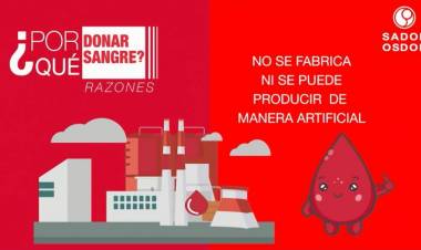 BANCO DE SANGRE: ES UN SERVICIO MUY IMPORTANTE QUE NOS FAVORECE A TODOS"