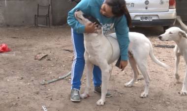 LAS AUTORIDADES RESTITUYERON A SU DUEÑA EL PERRO QUE HABÍA ATACADO A UNA VECINA