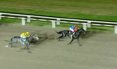 SUN SEI DEL STUD DON FELIX GANÓ EN PALERMO