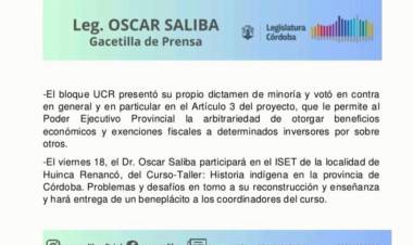 EL LEGISLADOR DISCONFORME CON LA APROBACIÓN DEL RIGI