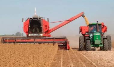 BUENAS PERSPECTIVAS AGRÍCOLAS EN LA ZONA