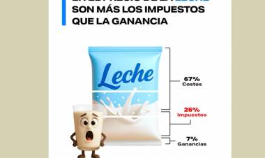 LOS IMPUESTOS Y SU PARTICIPACIÓN EN LA MESA DIARIA