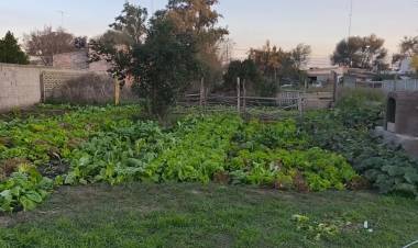 APROVECHANDO LA TIERRA Y EL TIEMPO