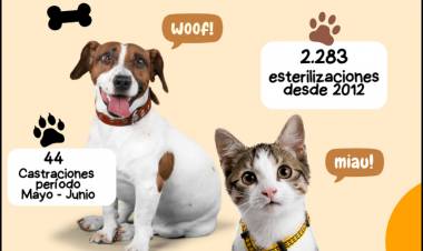 CONTINÚA LA CAMPAÑA DE CASTRACIONES EN NUESTRA LOCALIDAD