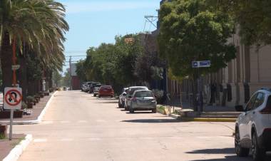 HUIDOBRO CENSA EL ARBOLADO URBANO