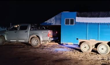 TRES PERSONAS DETENIDAS POR TRANSPORTAR VACUNOS SIN DOCUMENTACIÓN