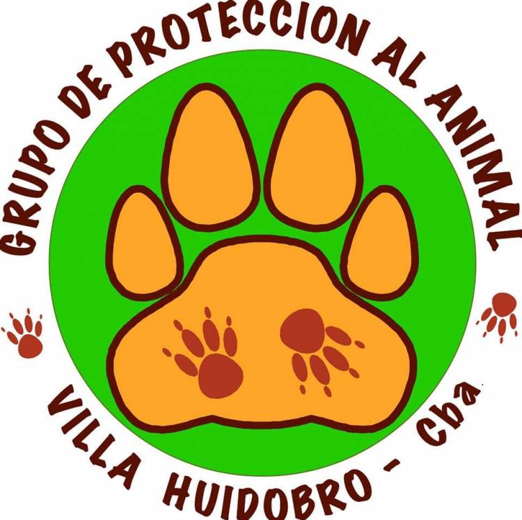 TRAS LOS DICHOS EN EL HCD EL GRUPO DE PROTECCIÓN ANIMAL RESPONDE