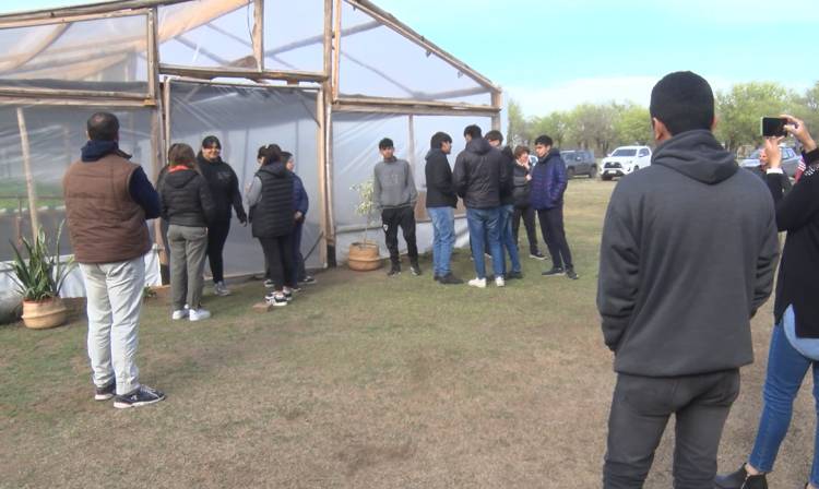 ABRIÓ SUS PUERTAS EL PRIMER VIVERO HIDROPÓNICO DE LA REGIÓN