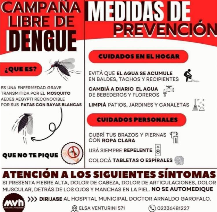 COMIENZAN LAS MEDIDAS DE PREVENCIÓN CONTRA EL DENGUE