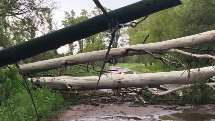 LA TORMENTA TRAJÓ VARIAS COMPLICACIONES EN EL SECTOR ELÉCTRICO