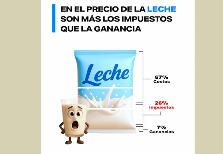 LOS IMPUESTOS Y SU PARTICIPACIÓN EN LA MESA DIARIA