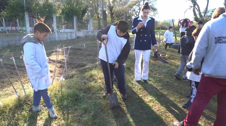 EN EL DÍA DEL AMBIENTE LANZAN CAMPAÑA PARA RECOLECTAR PLÁSTICO
