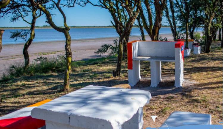 PROYECTO DEL CE MANUEL BELGRANO JUNTO A AL UNIVERSIDAD DE RIO IV PARA FORESTAR LA LAGUNA DEL 20