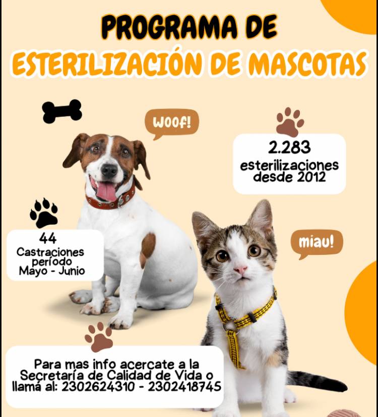 CONTINÚA LA CAMPAÑA DE CASTRACIONES EN NUESTRA LOCALIDAD