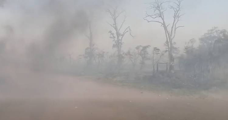 BOMBEROS TRABAJARON EN UN INCENDIO FORESTAL EN ZONA RURAL