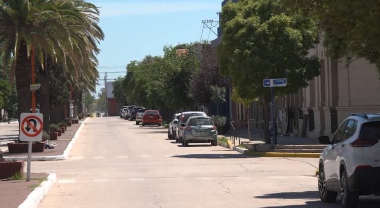 HUIDOBRO CENSA EL ARBOLADO URBANO